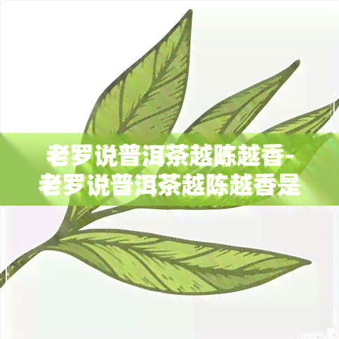 老罗说普洱茶越陈越香-老罗说普洱茶越陈越香是真的吗