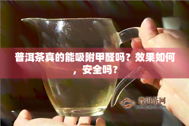 普洱茶真的能吸附甲醛吗？效果如何，安全吗？