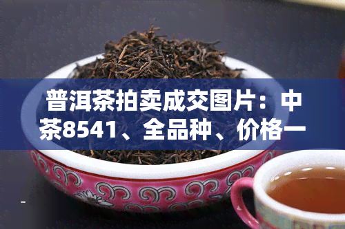 普洱茶拍卖成交图片：中茶8541、全品种、价格一览