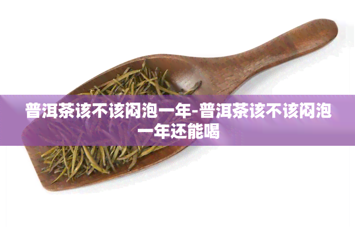 普洱茶该不该闷泡一年-普洱茶该不该闷泡一年还能喝