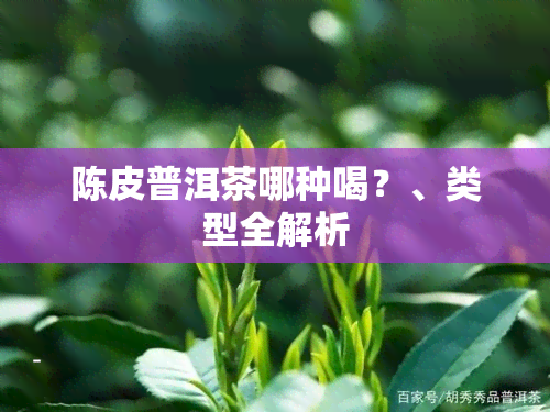 陈皮普洱茶哪种喝？、类型全解析