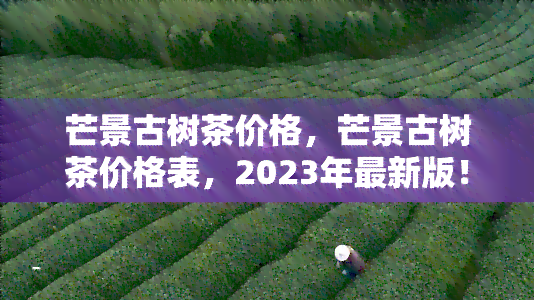 芒景古树茶价格，芒景古树茶价格表，2023年最新版！