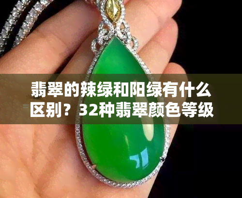 翡翠的辣绿和阳绿有什么区别？32种翡翠颜色等级排名，详解辣绿、阳绿的区别与价值比较