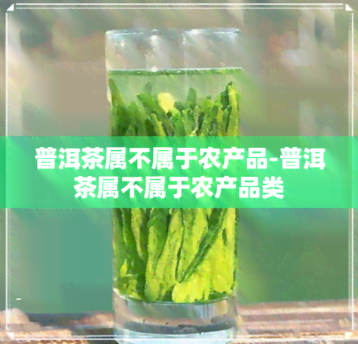 普洱茶属不属于农产品-普洱茶属不属于农产品类