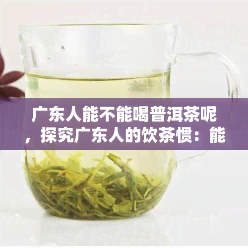 广东人能不能喝普洱茶呢，探究广东人的饮茶惯：能否饮用普洱茶？