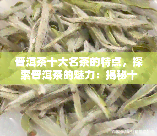 普洱茶十大名茶的特点，探索普洱茶的魅力：揭秘十大名茶的独特特点