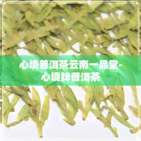 心境普洱茶云南一品堂-心境牌普洱茶