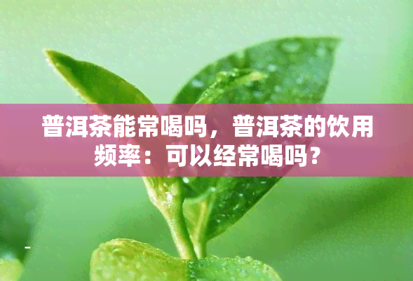 普洱茶能常喝吗，普洱茶的饮用频率：可以经常喝吗？