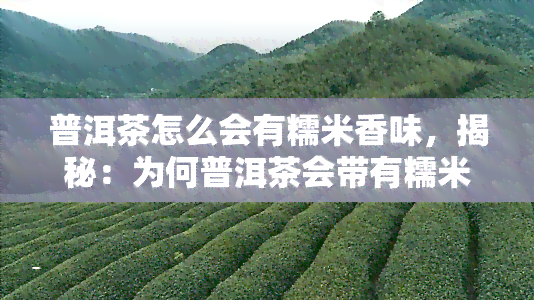 普洱茶怎么会有糯米香味，揭秘：为何普洱茶会带有糯米香味？