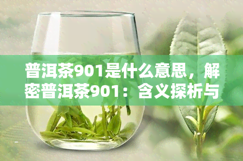 普洱茶901是什么意思，解密普洱茶901：含义探析与品鉴指南