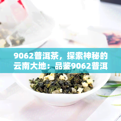 9062普洱茶，探索神秘的云南大地：品鉴9062普洱茶的独特韵味