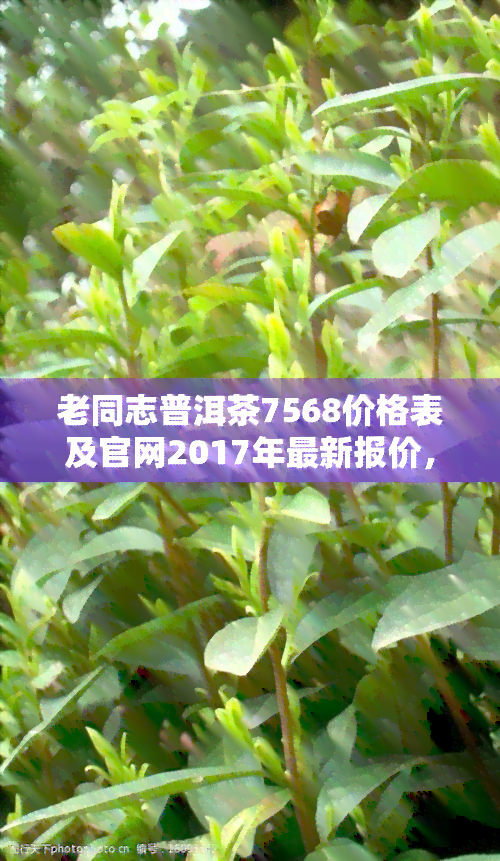 老同志普洱茶7568价格表及官网2017年最新报价，一文了解所有款式价格！