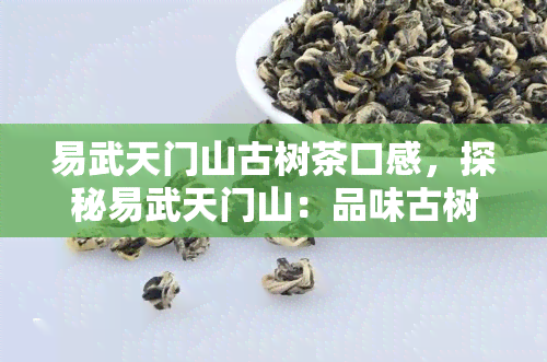 易武天门山古树茶口感，探秘易武天门山：品味古树茶的醇厚口感