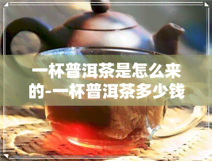 一杯普洱茶是怎么来的-一杯普洱茶多少钱