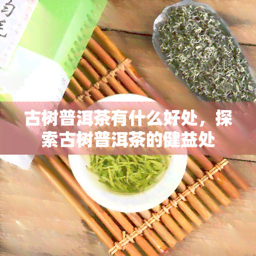 古树普洱茶有什么好处，探索古树普洱茶的健益处