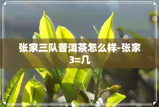 张家三队普洱茶怎么样-张家3=几