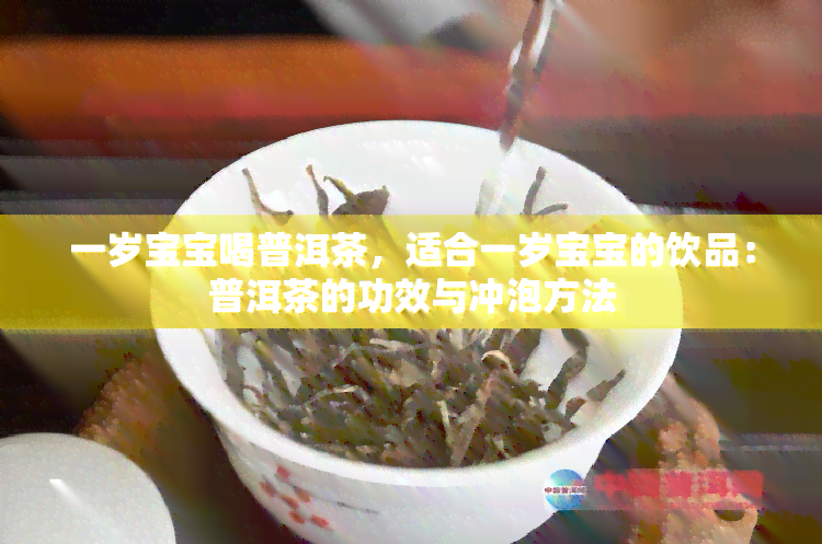 一岁宝宝喝普洱茶，适合一岁宝宝的饮品：普洱茶的功效与冲泡方法