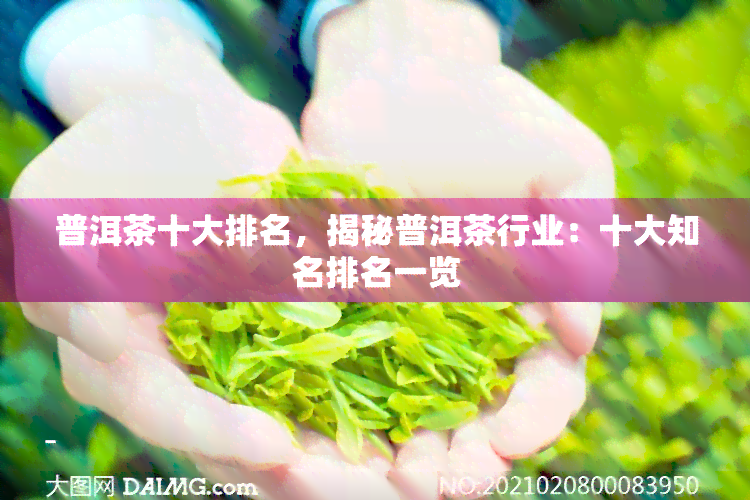 普洱茶十大排名，揭秘普洱茶行业：十大知名排名一览