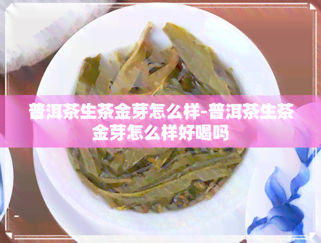 普洱茶生茶金芽怎么样-普洱茶生茶金芽怎么样好喝吗