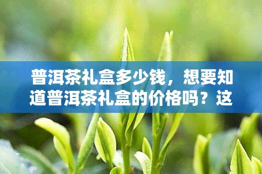 普洱茶礼盒多少钱，想要知道普洱茶礼盒的价格吗？这份指南告诉你！