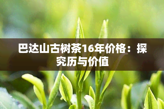 巴达山古树茶16年价格：探究历与价值