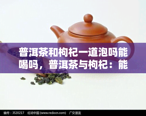 普洱茶和枸杞一道泡吗能喝吗，普洱茶与枸杞：能否一起冲泡饮用？