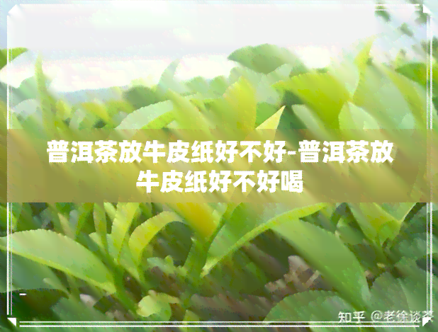 普洱茶放牛皮纸好不好-普洱茶放牛皮纸好不好喝