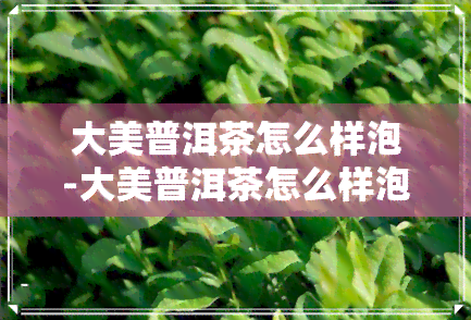 大美普洱茶怎么样泡-大美普洱茶怎么样泡好喝