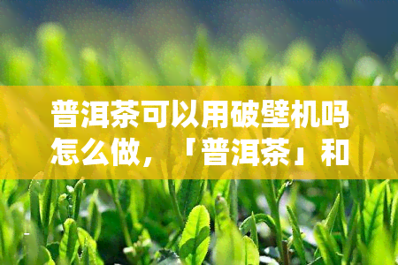 普洱茶可以用破壁机吗怎么做，「普洱茶」和「破壁机」的相关性并不明显，因此需要谨考虑是否使用这两个关键词来创建标题。以下是一些可能的选：nn1. 如何用破壁机制作美味的普洱茶？n2. 破壁机能打破普洱茶的传统泡法吗？n3. 普洱茶与破壁机：一个创新的饮品组合？n4. 用破壁机制作健普洱茶的步骤是什么？n5. 普洱茶在破壁机中的新用途：你知道吗？nn请注意，这些只是示例标题，具体标题应该根据您的目标读者和文章内容进行调整。