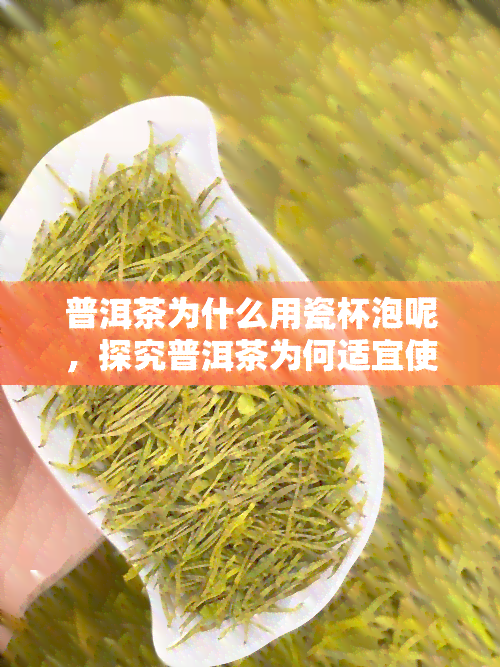 普洱茶为什么用瓷杯泡呢，探究普洱茶为何适宜使用瓷杯进行冲泡