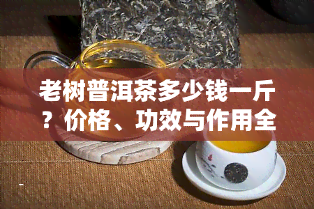 老树普洱茶多少钱一斤？价格、功效与作用全解析！