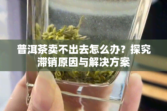 普洱茶卖不出去怎么办？探究滞销原因与解决方案