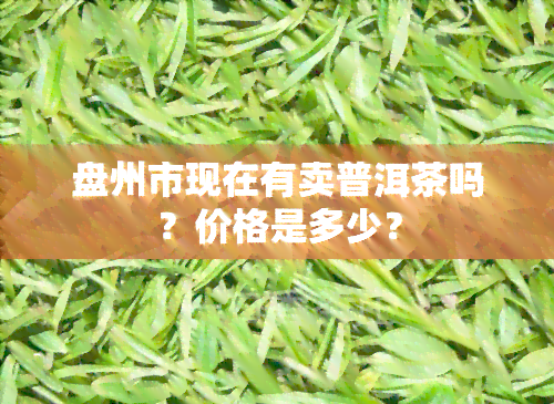 盘州市现在有卖普洱茶吗？价格是多少？