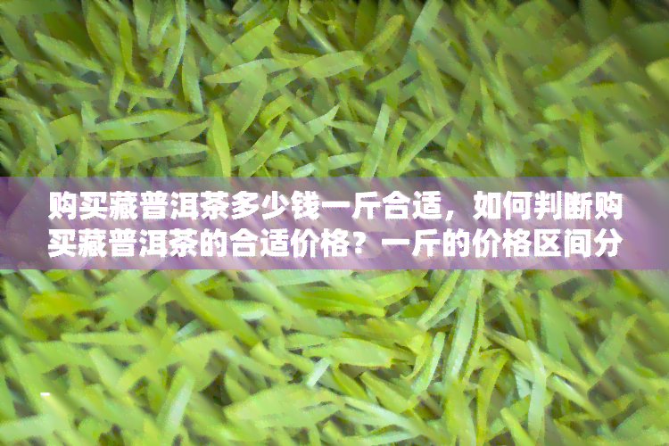 购买藏普洱茶多少钱一斤合适，如何判断购买藏普洱茶的合适价格？一斤的价格区间分析