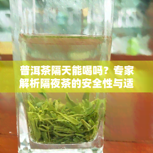 普洱茶隔天能喝吗？专家解析隔夜茶的安全性与适宜饮用时间