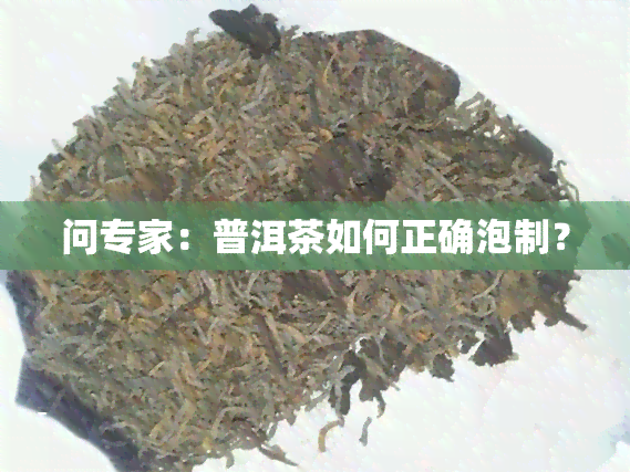 问专家：普洱茶如何正确泡制？