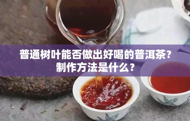 普通树叶能否做出好喝的普洱茶？制作方法是什么？