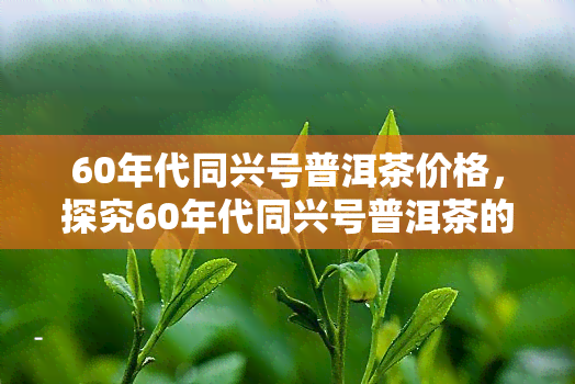 60年代同兴号普洱茶价格，探究60年代同兴号普洱茶的价格及其背后故事