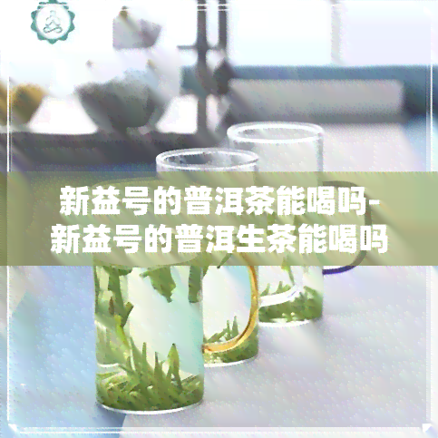 新益号的普洱茶能喝吗-新益号的普洱生茶能喝吗