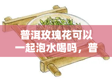 普洱玫瑰花可以一起泡水喝吗，普洱茶与玫瑰花能同时饮用吗？