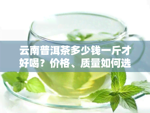 云南普洱茶多少钱一斤才好喝？价格、质量如何选择？