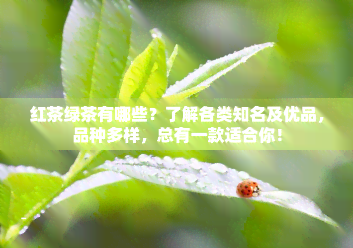 红茶绿茶有哪些？了解各类知名及优品，品种多样，总有一款适合你！