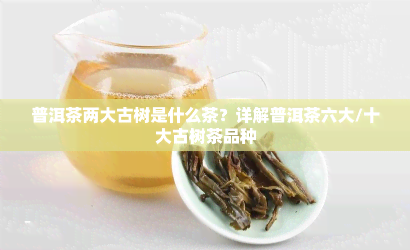 普洱茶两大古树是什么茶？详解普洱茶六大/十大古树茶品种