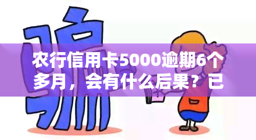 农行信用卡5000逾期6个多月，会有什么后果？已有案例分析