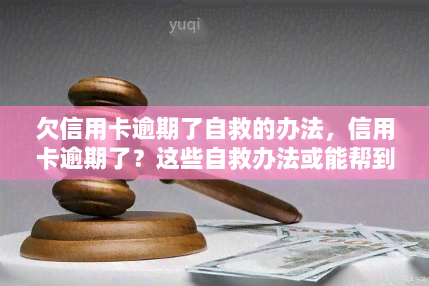 欠信用卡逾期了自救的办法，信用卡逾期了？这些自救办法或能帮到你！