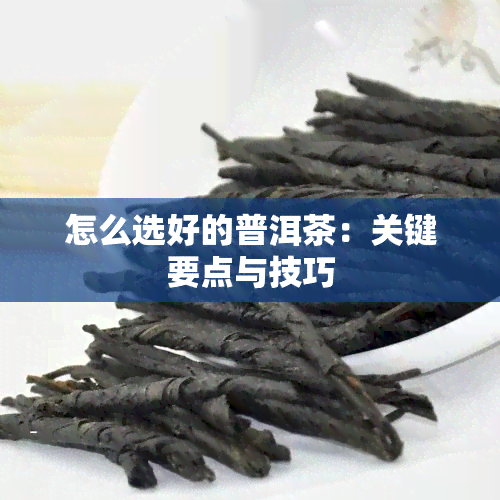 怎么选好的普洱茶：关键要点与技巧