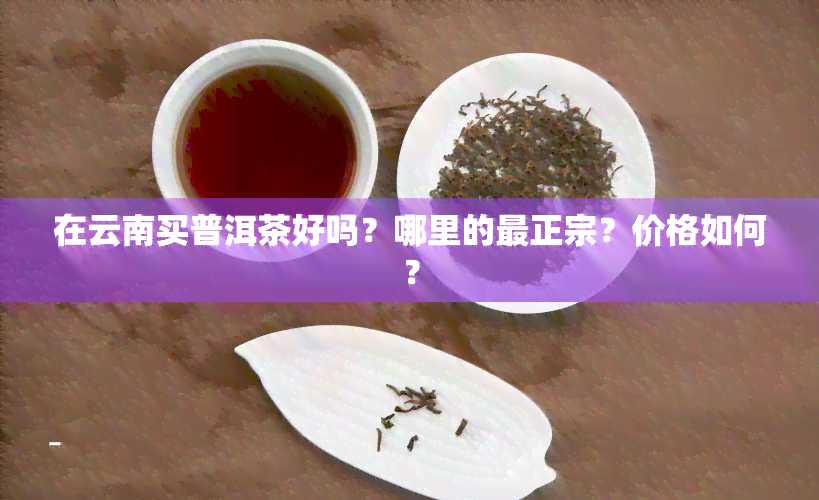 在云南买普洱茶好吗？哪里的最正宗？价格如何？