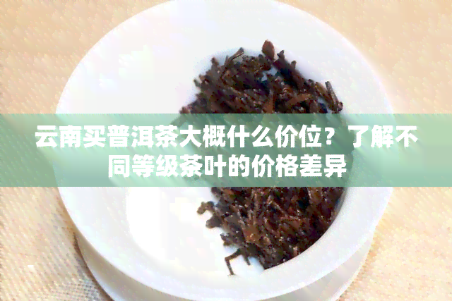 云南买普洱茶大概什么价位？了解不同等级茶叶的价格差异