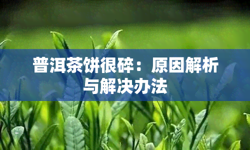 普洱茶饼很碎：原因解析与解决办法