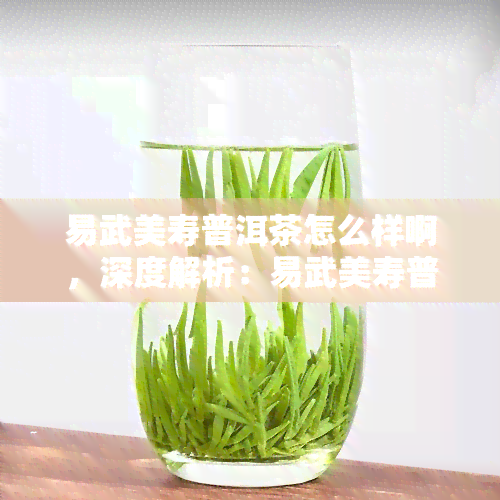 易武美寿普洱茶怎么样啊，深度解析：易武美寿普洱茶的口感与品质如何？